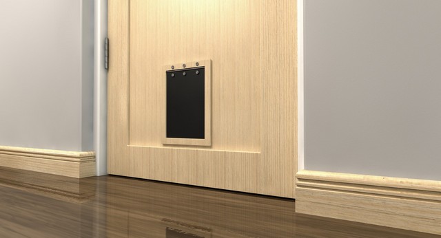 Cat Flap Installation Romford, Rise Park, RM1
