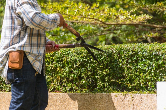 Garden Maintenance Romford, Rise Park, RM1